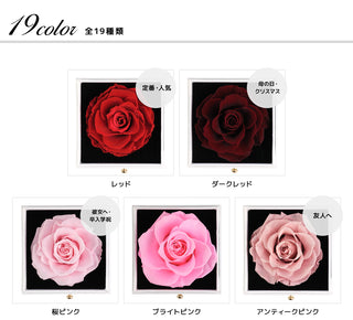 プリザーブドフラワー ジュエリーボックス バラ プレゼント ローズ ボックス ギフト ブリザード フラワー プリザード 薔薇 ジュエリー ネックレス リング ギフトボックス アクセサリーケース 誕生日 彼女 女性 母 お祝い 贈り物 フラワーギフト 3