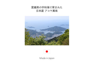 日本産 あこや真珠 ステンレスチェーン ネックレス 真珠ネックレス 真珠 ネックレス パールネックレス パール ネックレス